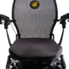 10-2 Golden Cricket