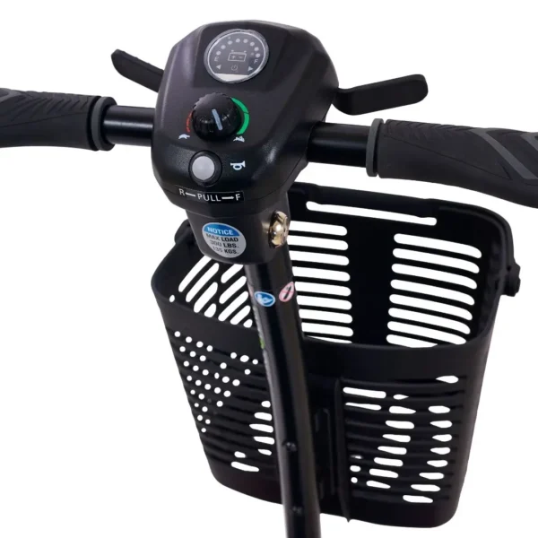 10 Golden Buzzaround LT 4-wheel with Microturn