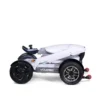 14 Golden Ally Sport