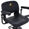 3-4 Golden Buzzaround LT 3-wheel