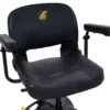 6-1 Golden Buzzaround LT 4-wheel with Microturn