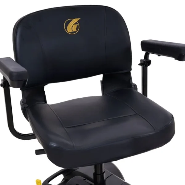 6-1 Golden Buzzaround LT 4-wheel with Microturn