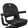 Buzzaround LX 4-Wheel 2 Golden Buzzaround LX 4-wheel