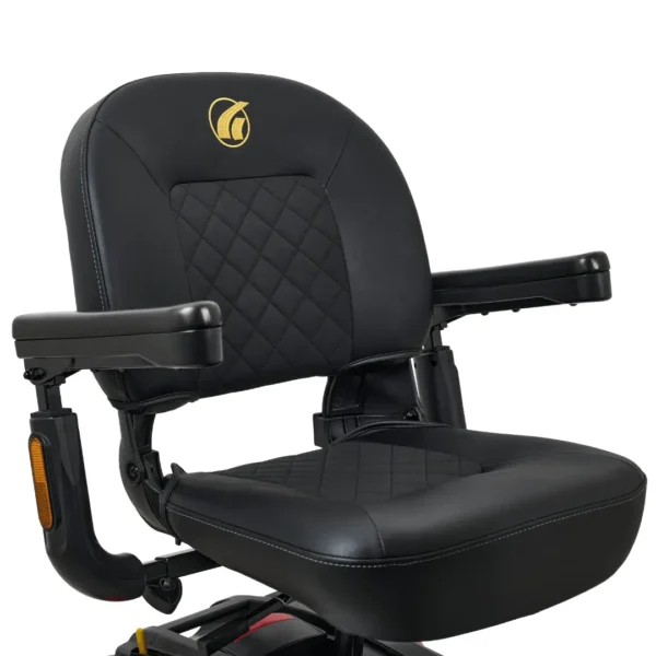 Buzzaround LX 4-Wheel 2 Golden Buzzaround LX 4-wheel