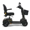 Companion (4-wheel) Full Size 1 Golden Golden Companion 4-wheel