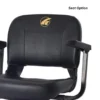 Companion (4-wheel) Full Size 2 Golden Golden Companion 4-wheel